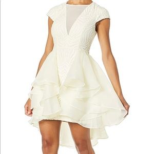 HALSTON HERITAGE Women's Cap Sleeve V Neck Lace Dress with Skirt Overlay, Sz 4